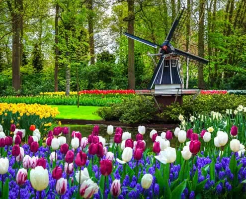 Keukenhof